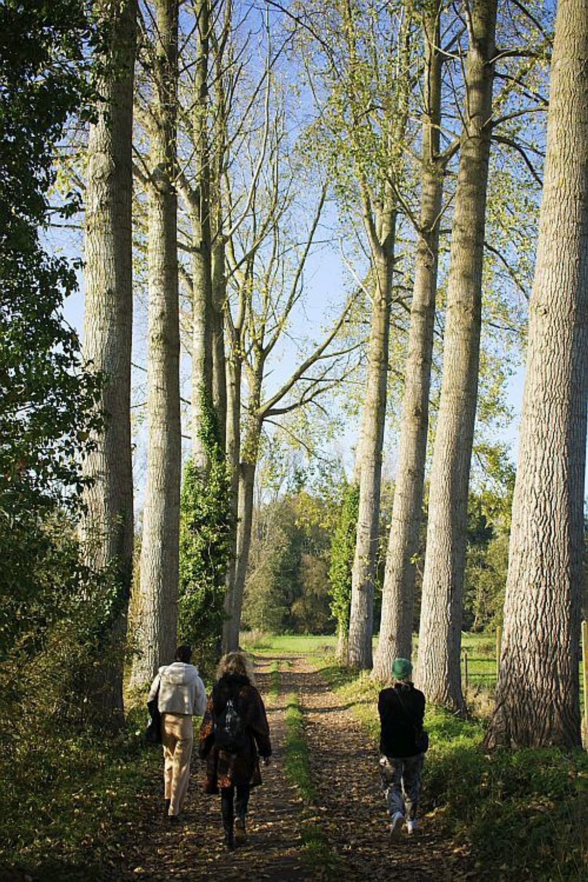 VIER TIPS VAN HET NATIONALE BLVRD WANDELTEAM