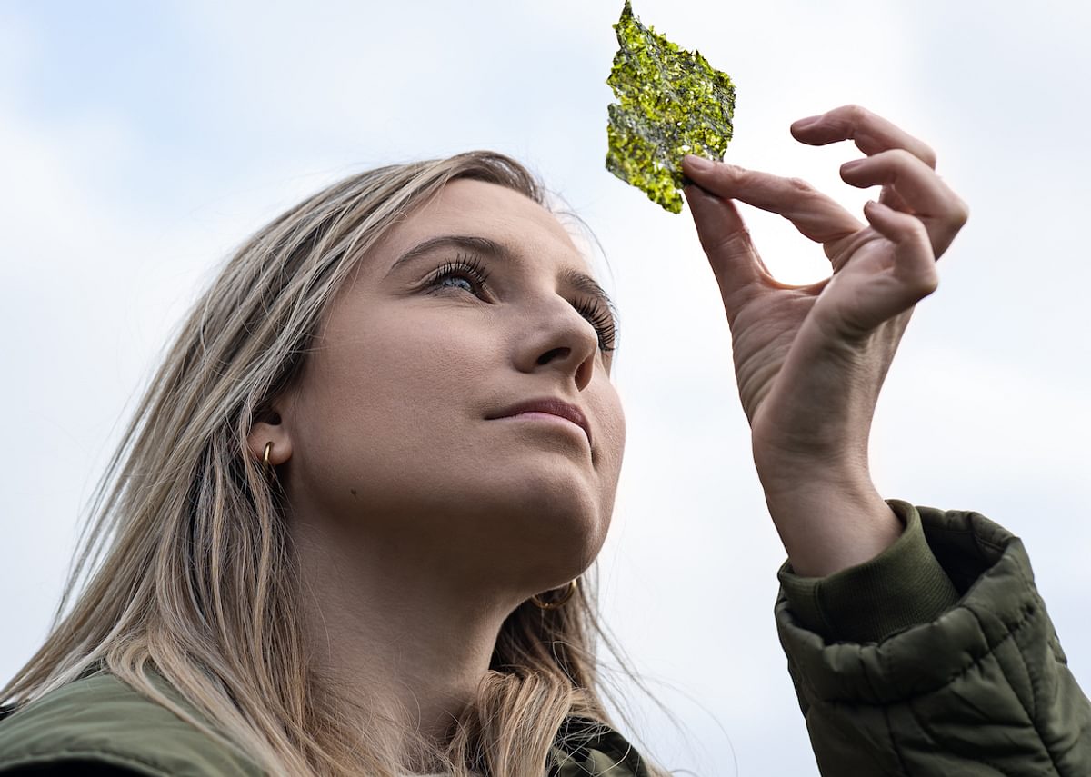 De kroket van de toekomst wordt gemaakt in Brugge