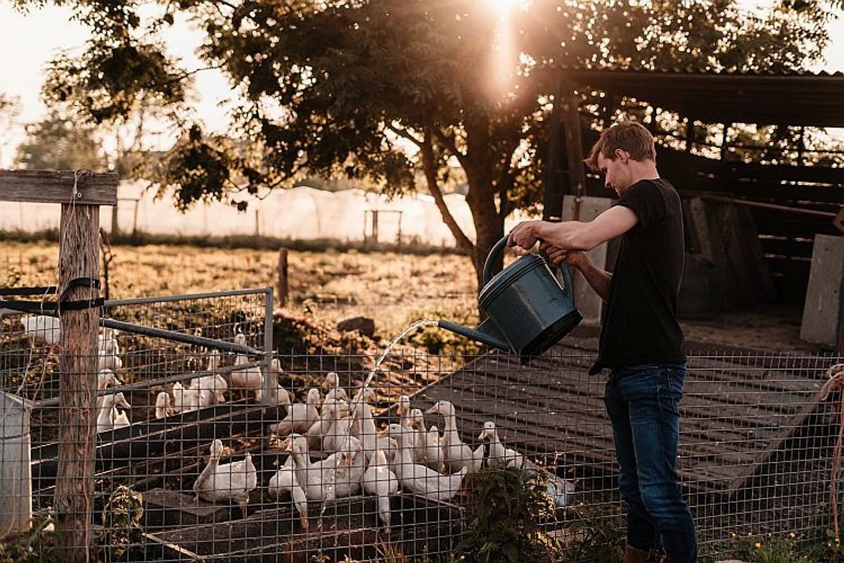 BOER BAS BRENGT BIOBOEREN TOT IN DE STAD!