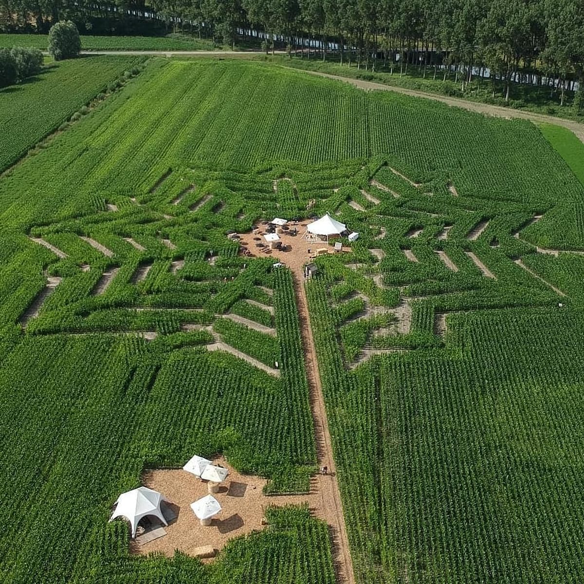 109348153 723803468421016 2500137227613751946 o