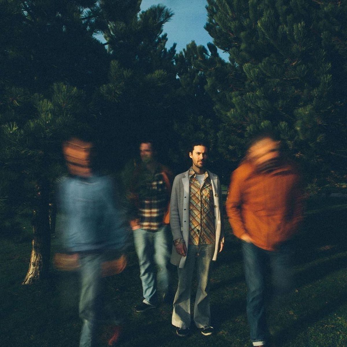 Echoes of zoo c Grégoire Verbeke