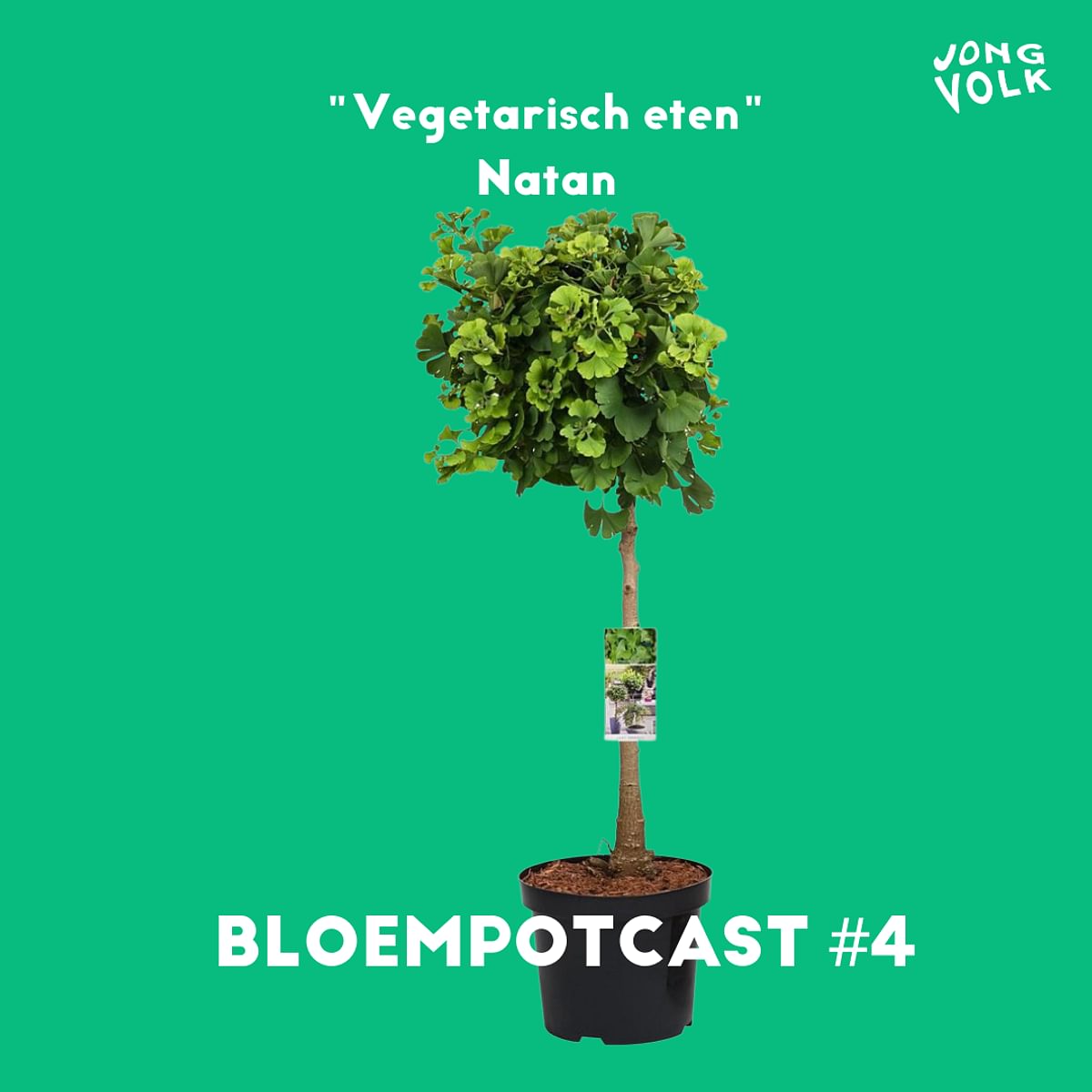 BLOEMPOTCAST #4 NATAN OVER VEGETARISCH ETEN