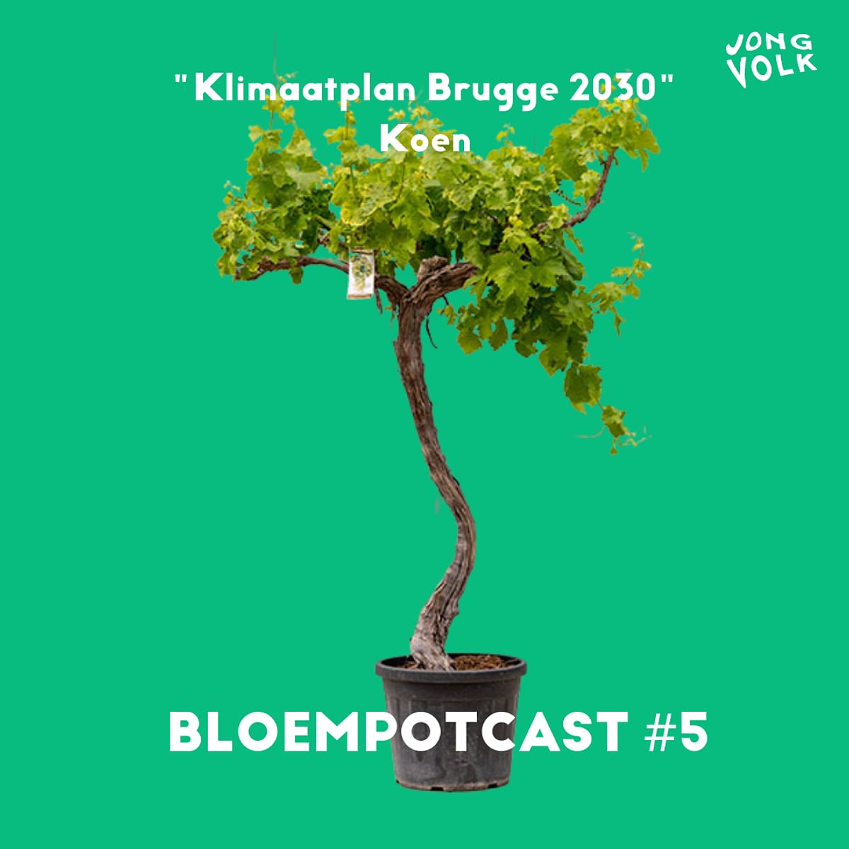 BLOEMPOTCAST #5 KOEN OVER HET KLIMAATPLAN