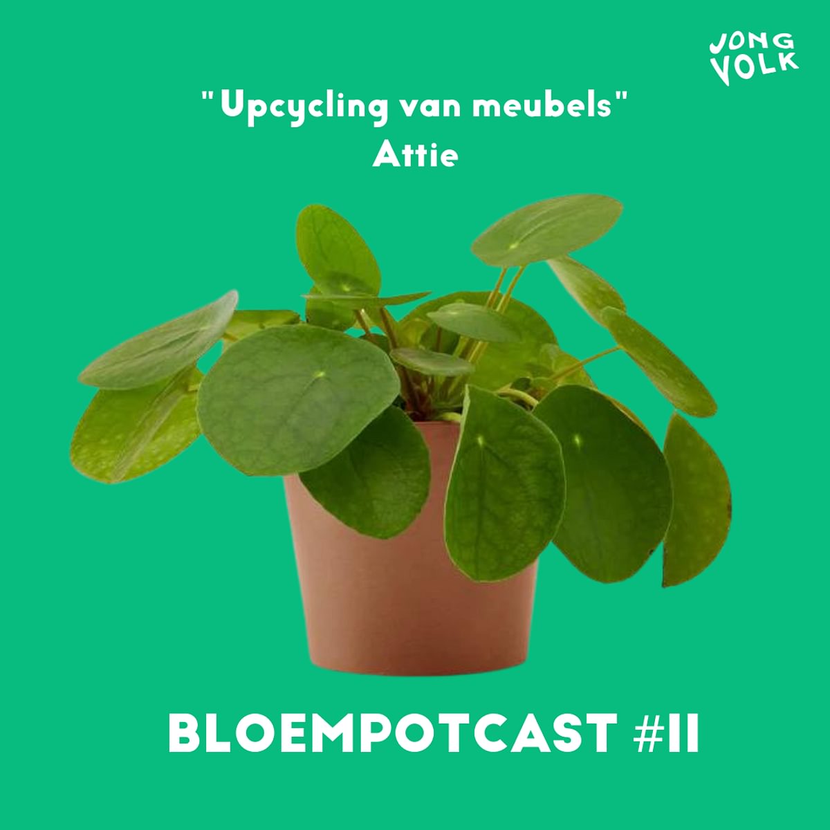 #Bloempotcast #11 Attie upcyclet meubels