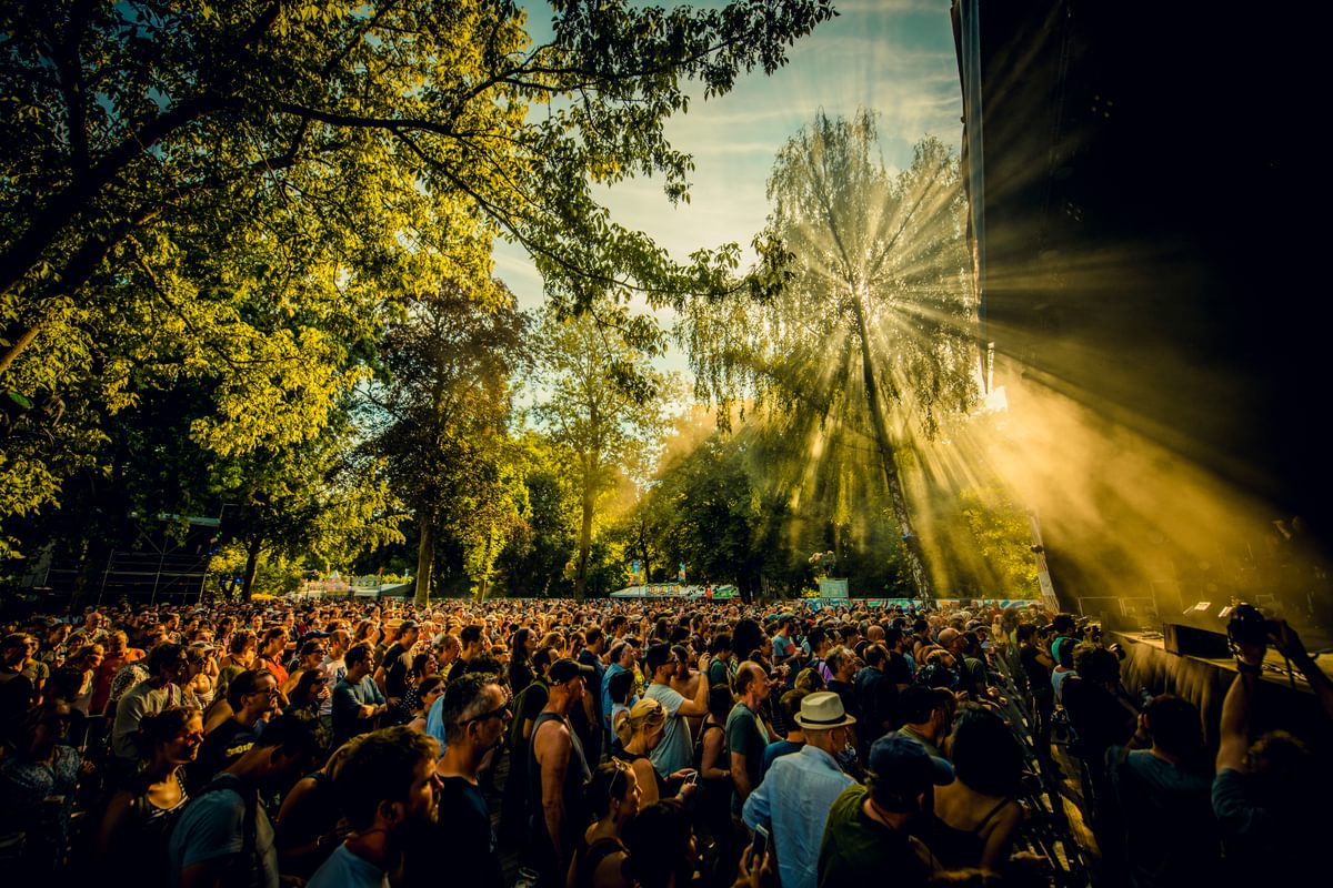 Achter de schermen bij Cactusfestival: het belang van social media