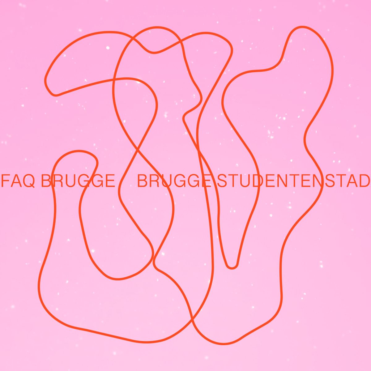 FAQ Brugge * Brugge Studentenstad