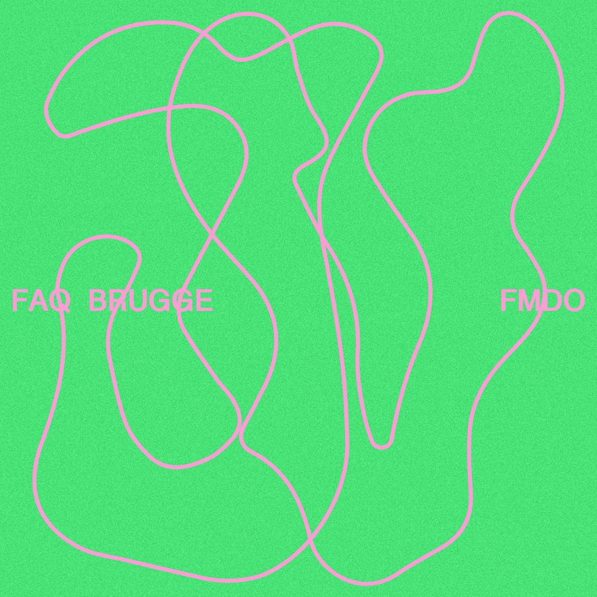 FAQ BRUGGE * FMDO