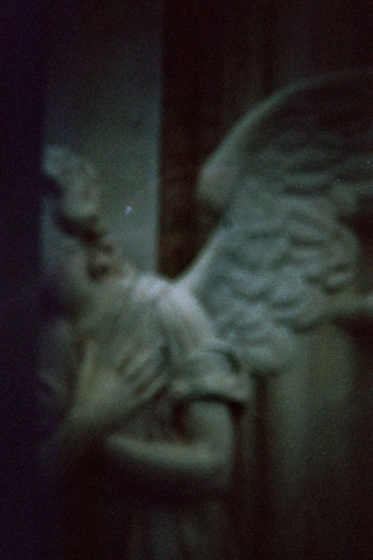 Imm001 17 A