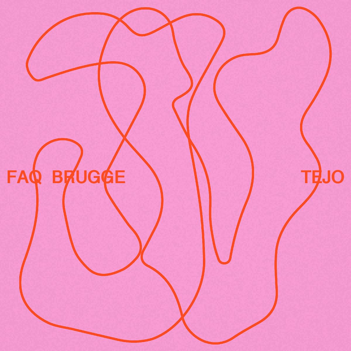 FAQ Brugge * Tejo