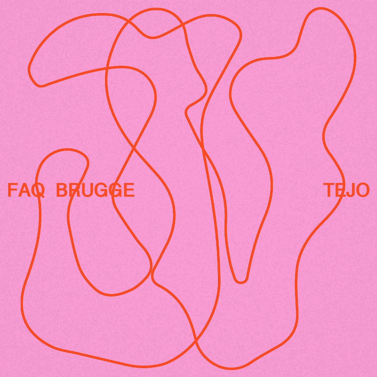 FAQ Brugge * Tejo