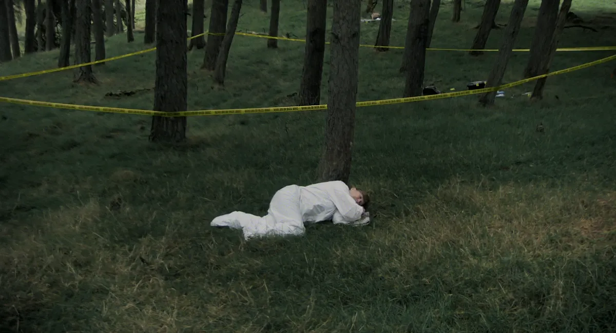 Docfest 2024