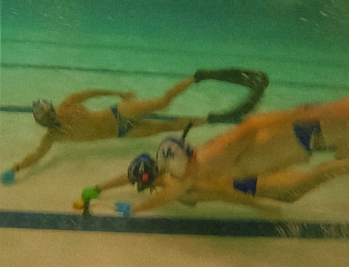 OWH Brugge De Zwarte Zwanen