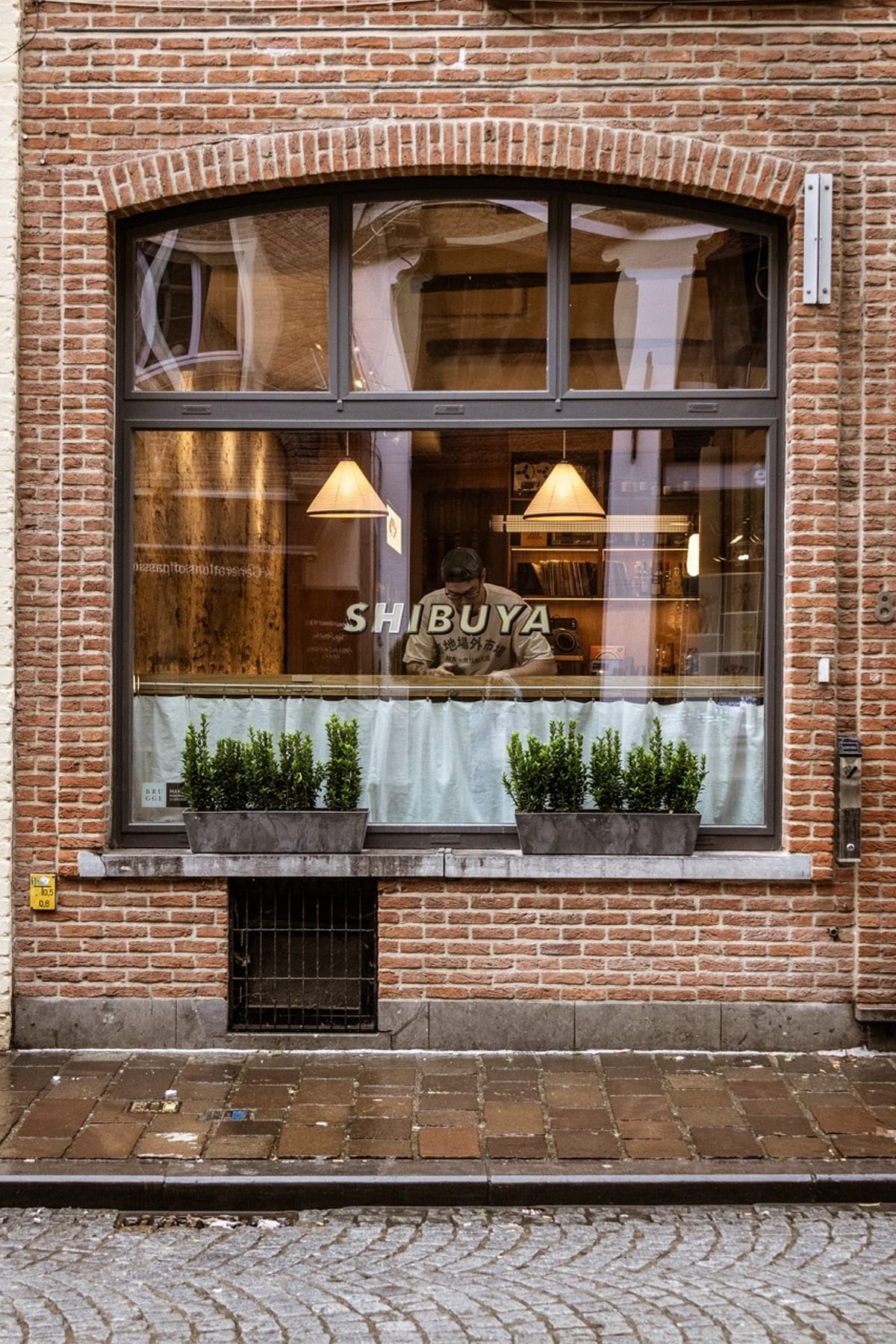 Shibuya: Een liefdesbrief aan Azië, in het hartje van Brugge